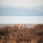 Car Title Loans Delta